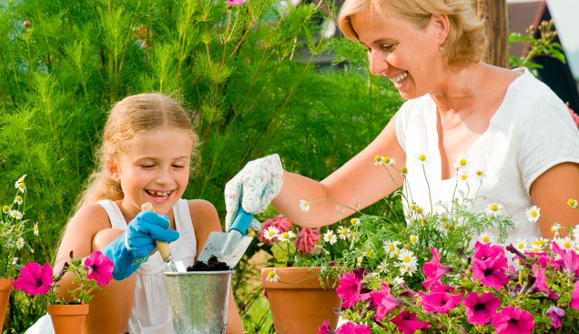 Pain-free gardening